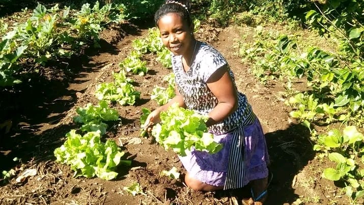 C2C#051: ‘Technology is Revolutionizing Our Cooperative’ in Madagascar