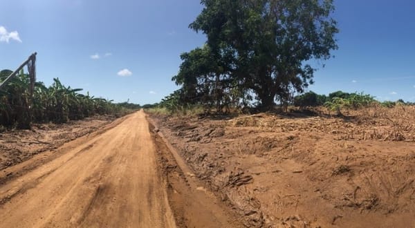 Call to Comms #69: Meet Erwan, TSF’s Ecological Transition Intern